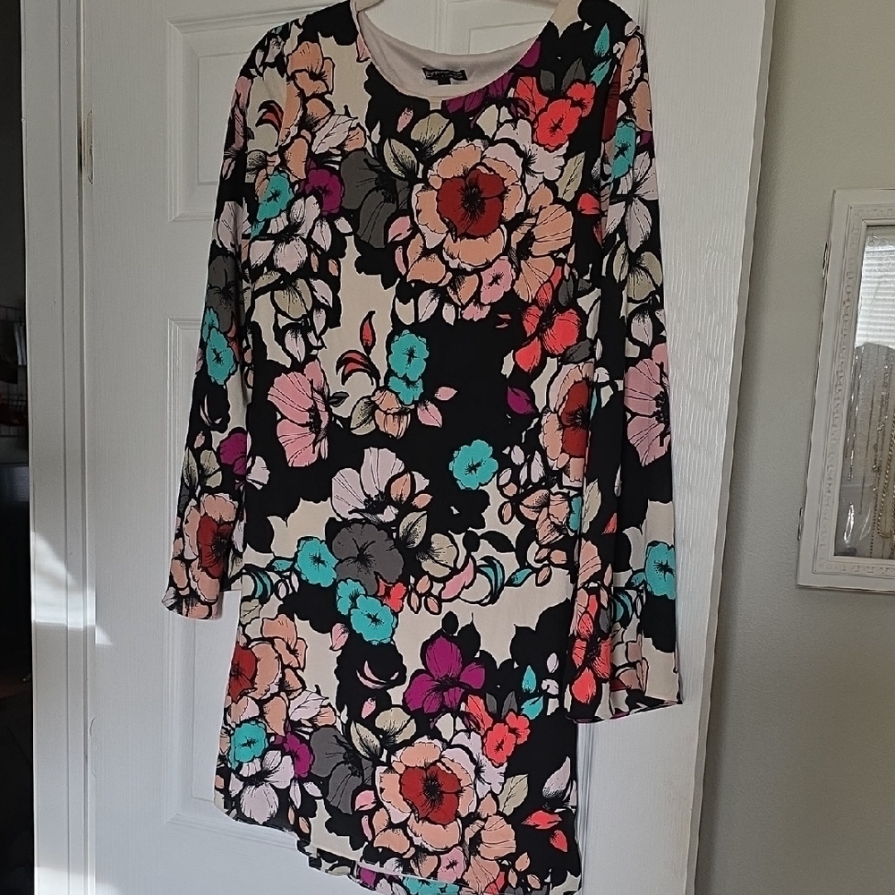 Express Black and Pink Floral Dress